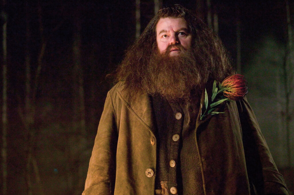 Robbie Coltrane as Hagrid in the Harry Potter films