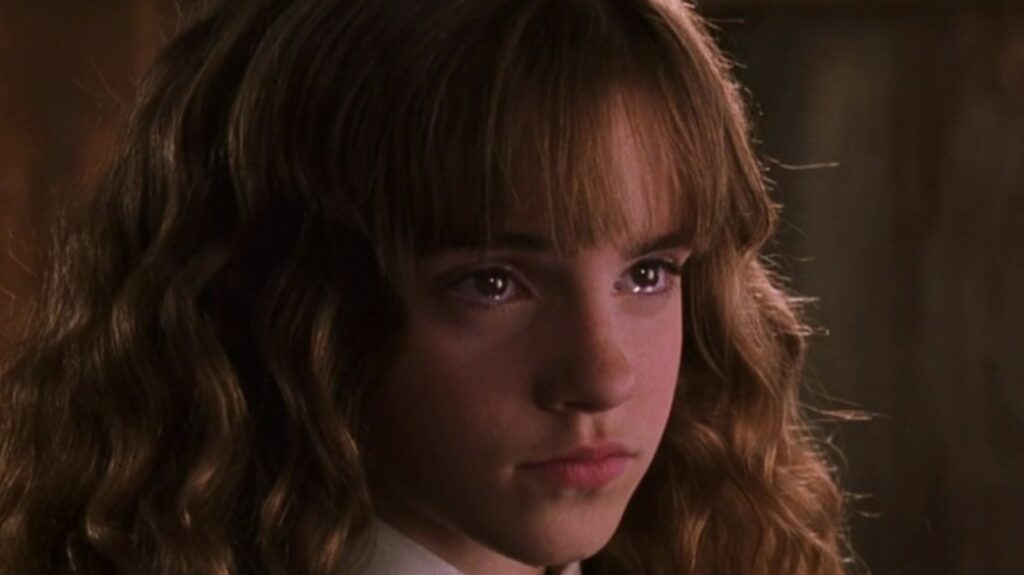 Top Harry Potter Characters: Emma Watson as Hermione Granger