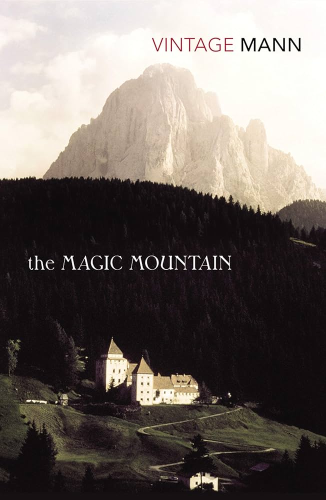 The Best Coming-of-age Novels: The Magic Mountain by Thomas Mann